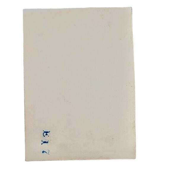 Vtg B&W Photo 1940s Found Yellowstone Park Snowy Top Mountain View Snapshot - Picture 2 of 4